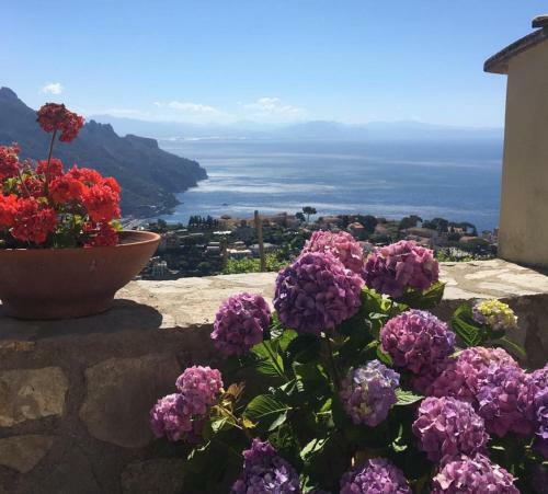 Bed & Breakfast Guest House Mal�