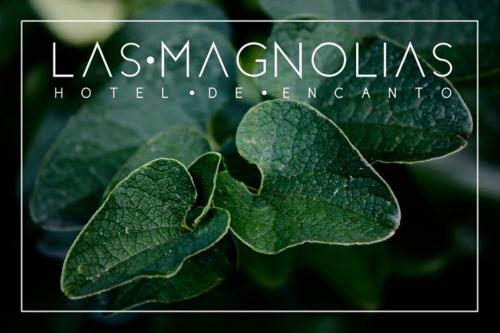 Hotel Las Magnolias