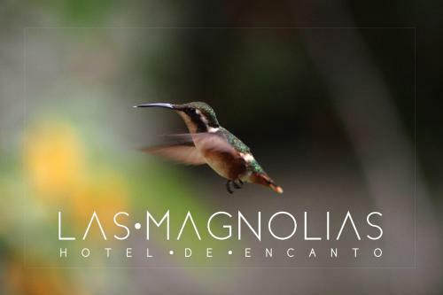 Hotel Las Magnolias