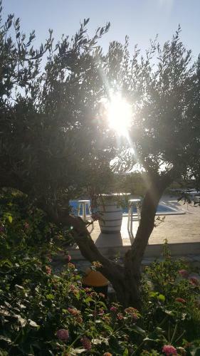 Villa Ceni