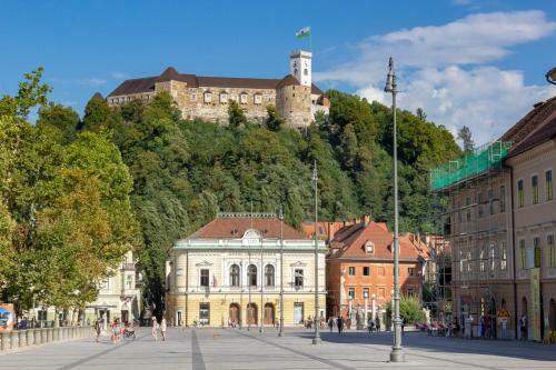 Two-bedroom Apartment Ljubljana Erjavceva