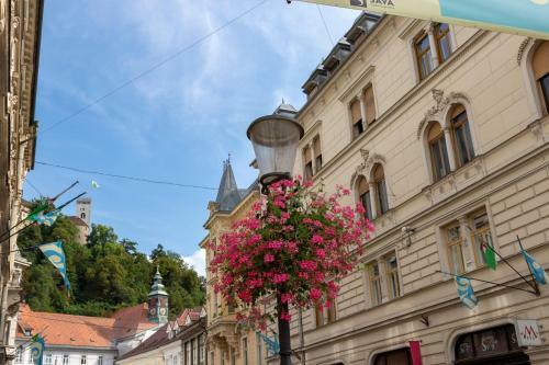 Two-bedroom Apartment Ljubljana Erjavceva