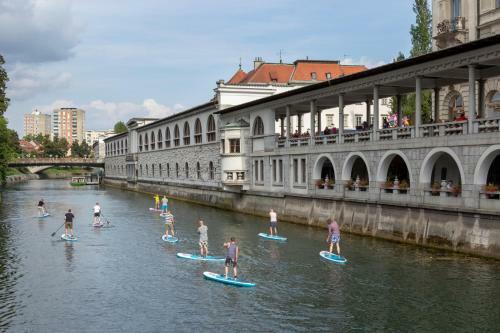Two-bedroom Apartment Ljubljana Erjavceva