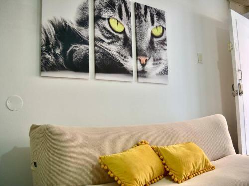 Apartamento Casa Del Gato
