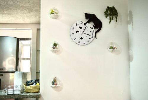 Apartamento Casa Del Gato