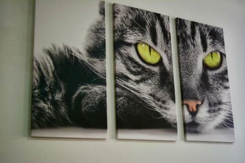 Apartamento Casa Del Gato