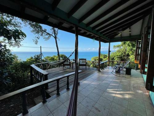 Jungle By The Sea