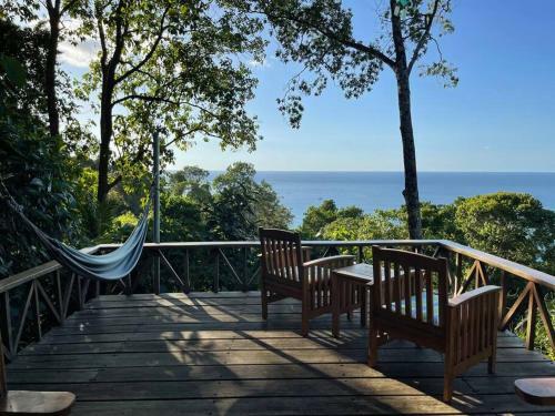 Jungle By The Sea