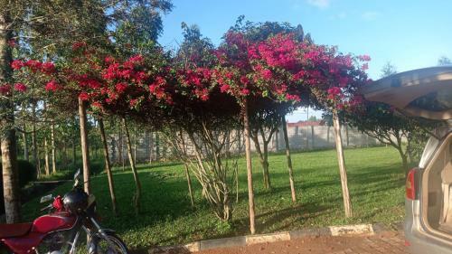 Hotel Rena Gardens
