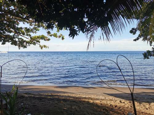 Tropical Beachhouse Dauin At Diving Sanctuary