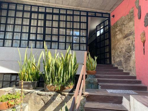 Apartamento C�ntrica Y Encantadora Suite �mbar