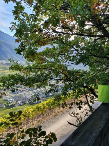 La Terrasse