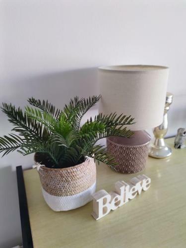 Apartamento Flat In Juan