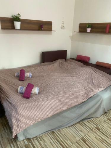 Viola Apartman