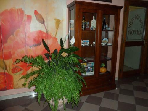 Hotel Da Santo