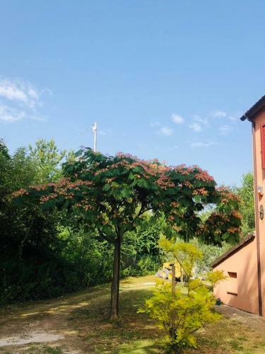 Hostal Casale Il Girasole