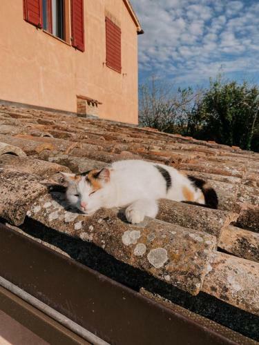Hostal Casale Il Girasole