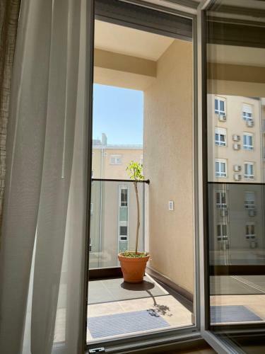 Apartamento Smokvica