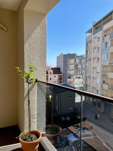Apartamento Smokvica