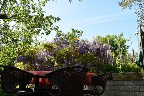 Apartma Pergola