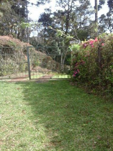 Chal� Dos Bastianis