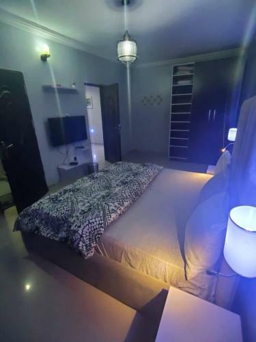 Classy Serviced Ocean View 2 Bedroom Apartment For Shorltet Ikate Lekki