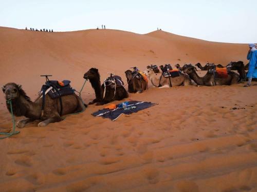 Apartamento Del Desierto