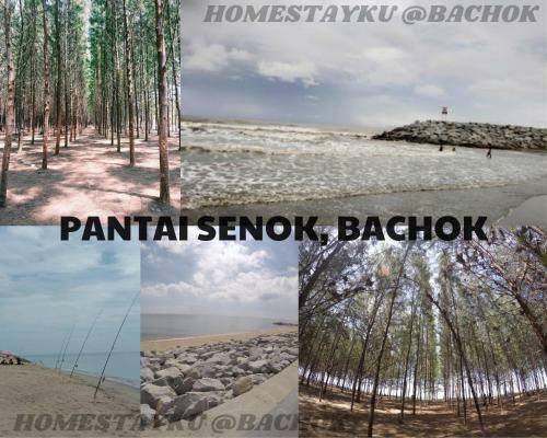 Homestayku @bachok