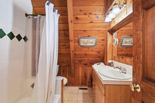 Tahoe Bear House