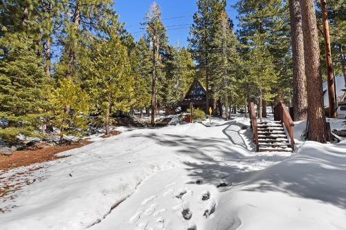 Tahoe Bear House