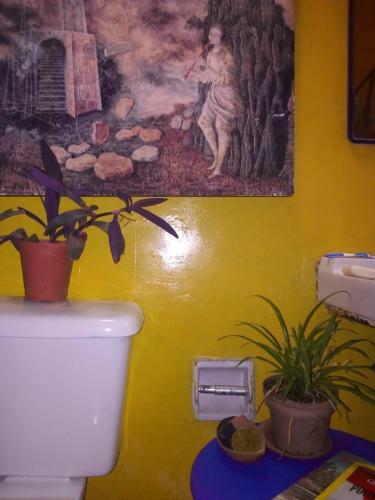 Habitaci�n C�moda En El Barrio de Xochimilco