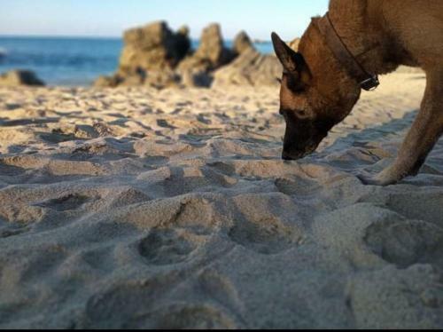 Apartamento Casa Shalom