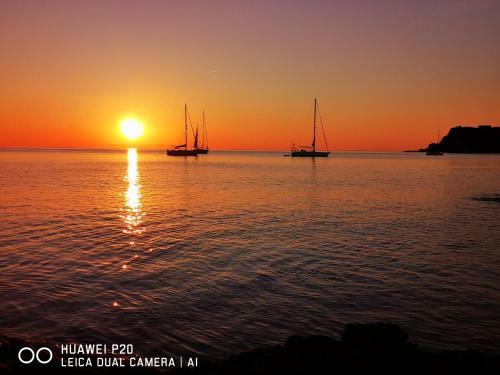 Apartamento Banyuls Solaris