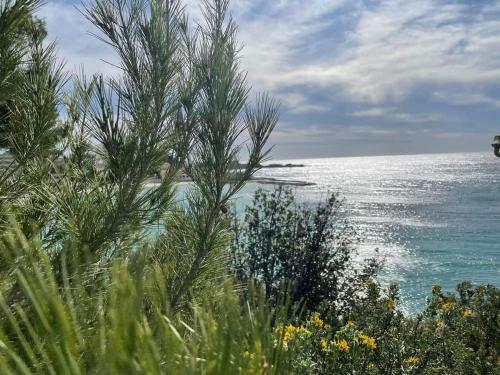 Apartamento Villa Cocody