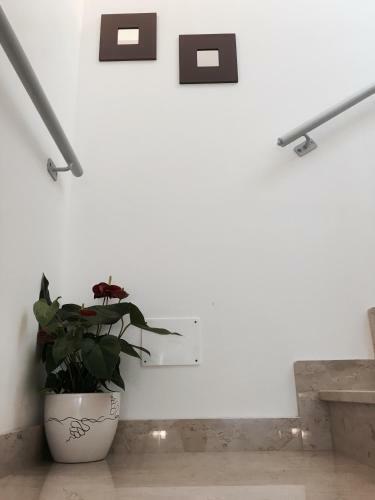B&B Il Quadrifoglio