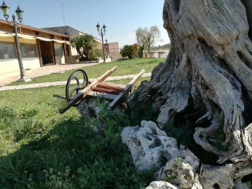 Corallo Eco Wellness Hotel