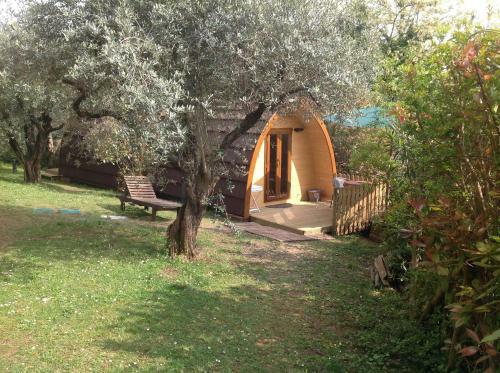 Bed & Breakfast Rosa Camuna