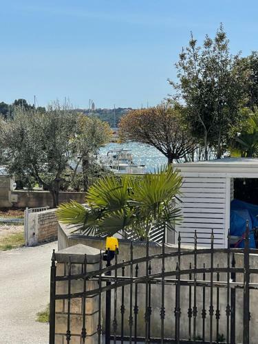 Apartments Demarin