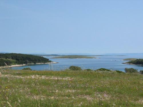 Apartments Demarin