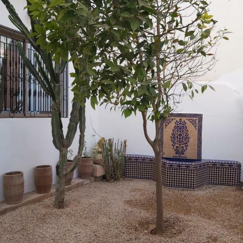 Bed & Breakfast Villa Michel