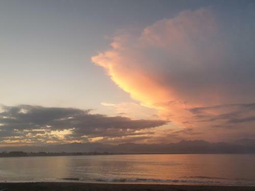 Nnyl Baler Beachfront
