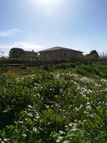 Agroturismo Agriturismo Terra Del Sole