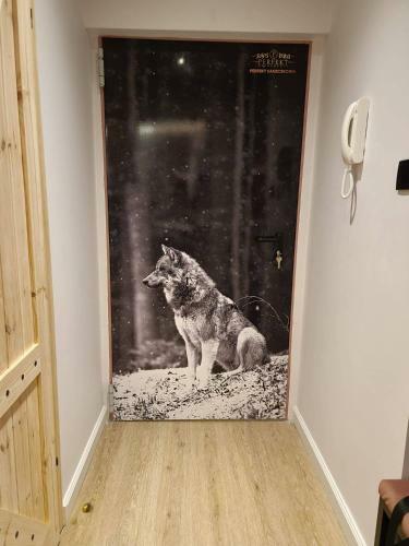 Perfekt Apartament Karpacz