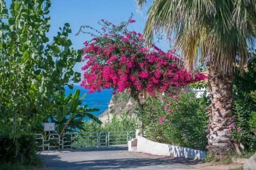 Hotel Villaggio Stromboli