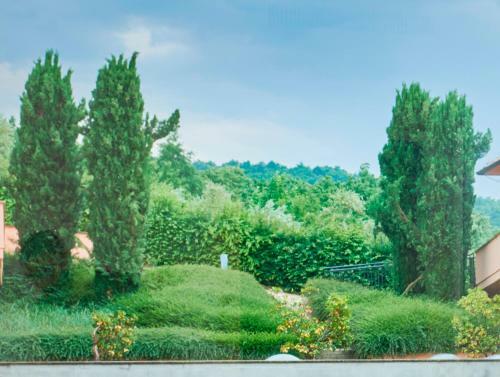 Hotel Fonteverde Tuscan Resort & Spa