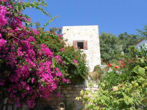Villa Elpiniki Tilos