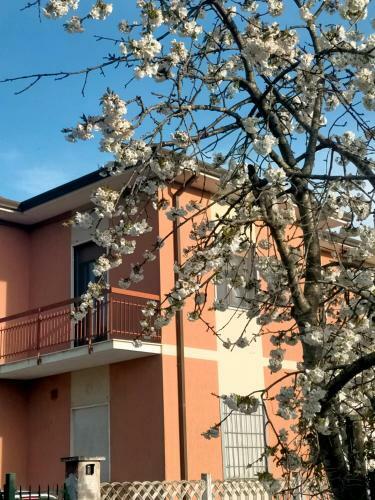 Apartamento Suite Paradiso