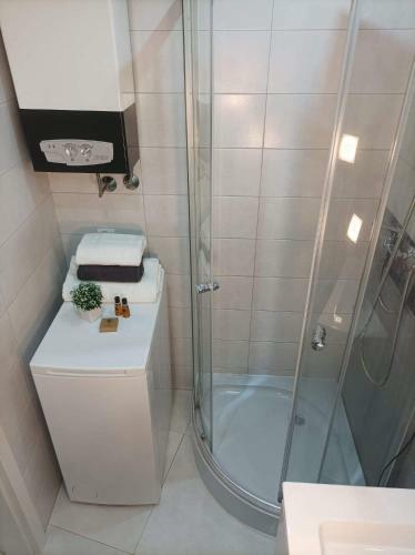 Apartament Pi?trowy Premium Centrum