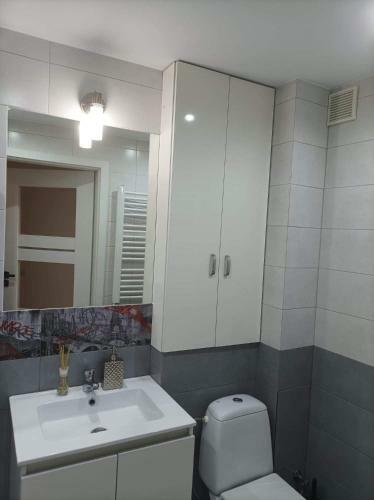 Apartament Pi?trowy Premium Centrum