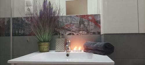 Apartament Pi?trowy Premium Centrum